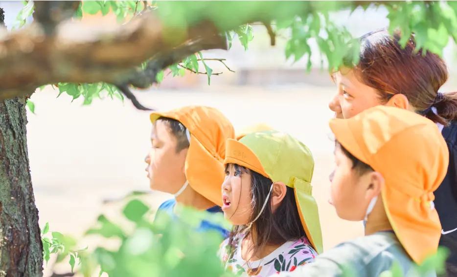 幼児たちが園庭の木の葉の間から外を観察している様子